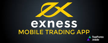 Discover the Advantages of Exness Global Broker