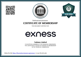 Discover the Advantages of Exness Global Broker